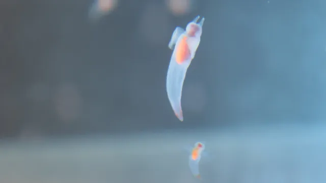 Projectsへ移動